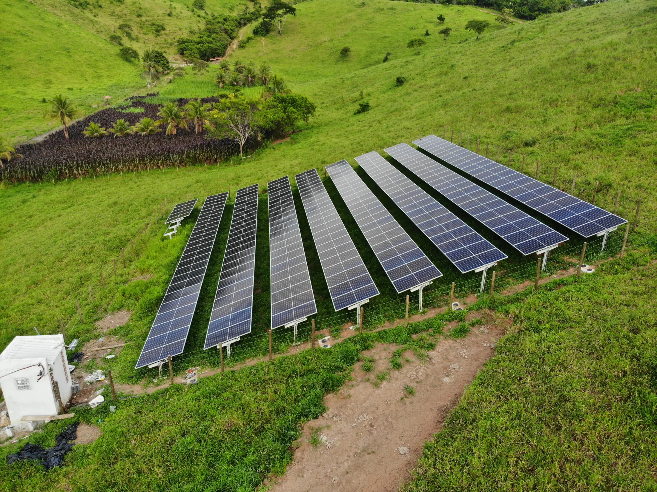 Fileiras de painéis solares instalados em área rural